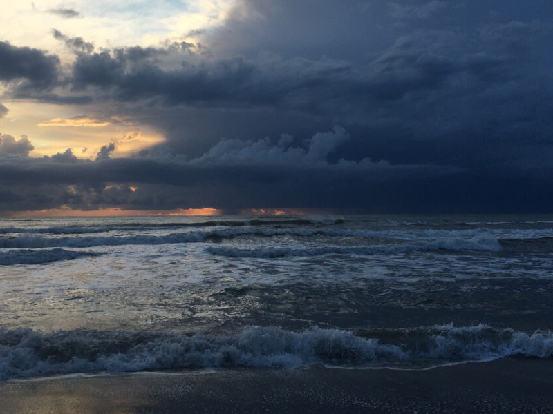 Mare
